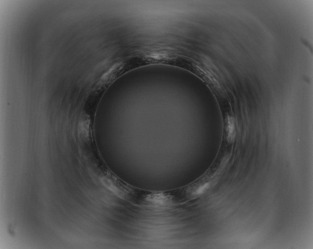 X0000092110231200709121624