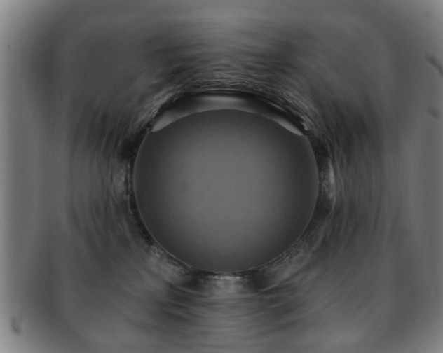 X0000092110233200709121624