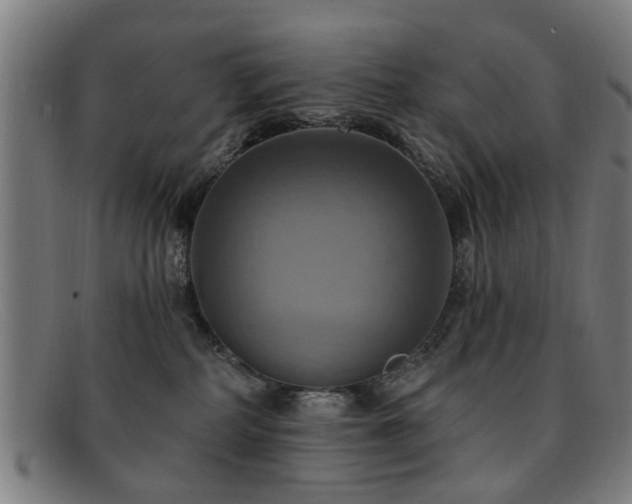 X0000092110234200709121624