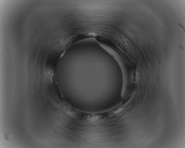 X0000092110235200709121624