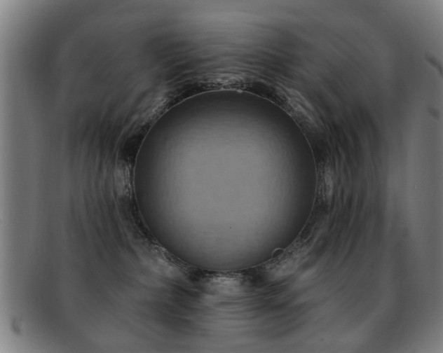 X0000092110236200709121624