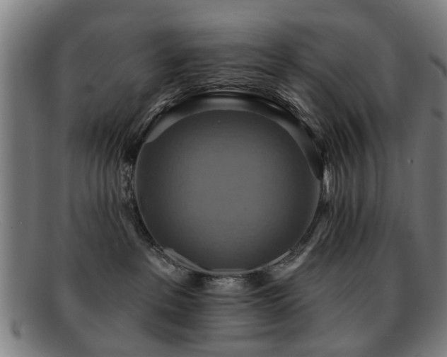 X0000092110237200709121624