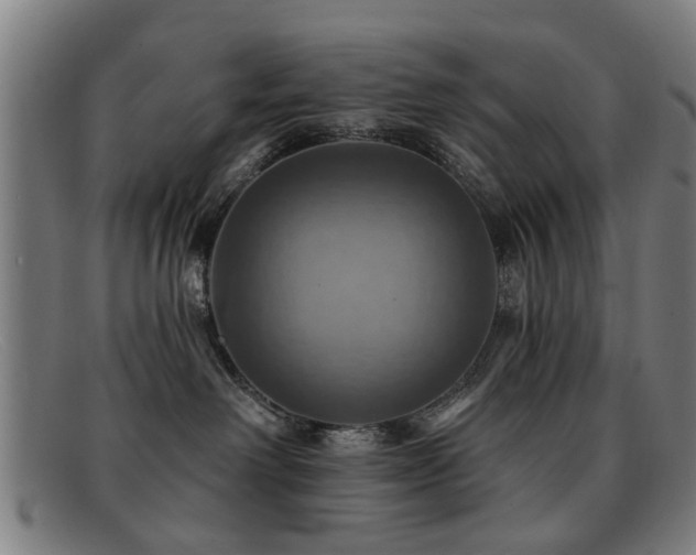 X0000092110238200709121624