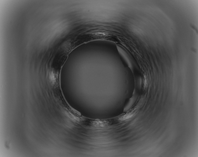 X0000092110239200709121624