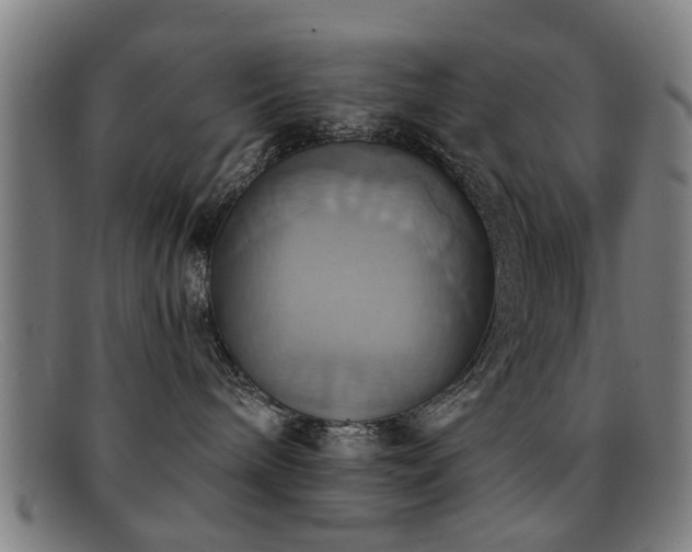 X0000092110240200709121624