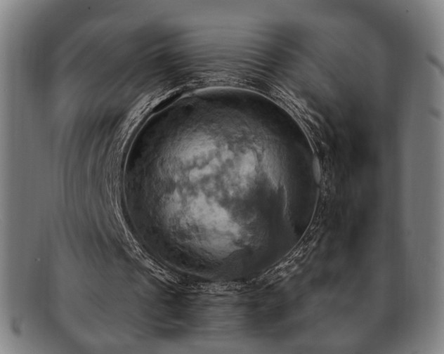 X0000092110241200709121623