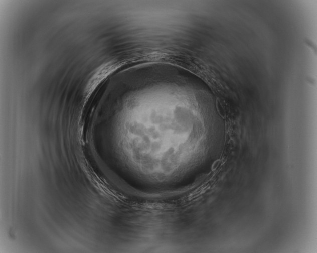 X0000092110242200709121623