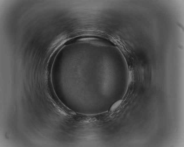 X0000092110243200709121623