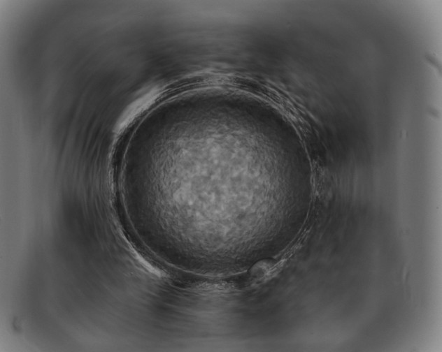 X0000092110245200709121623