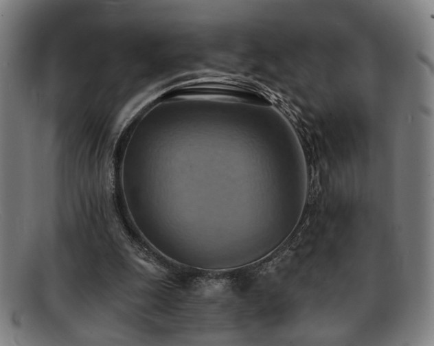 X0000092110247200709121623