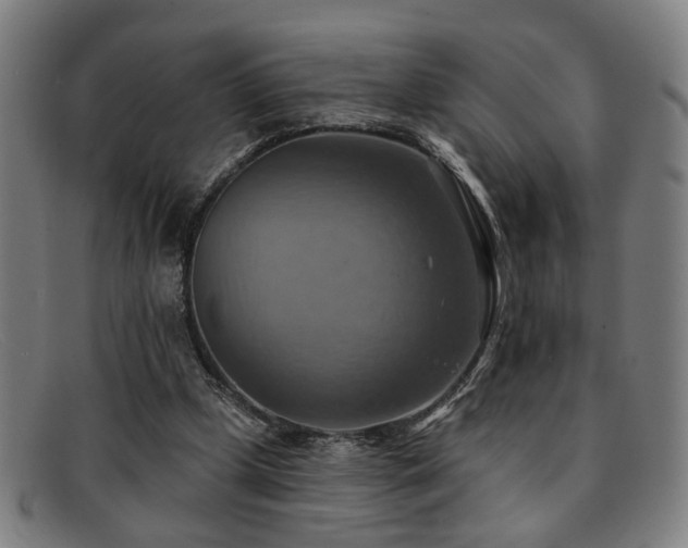 X0000092110249200709121623