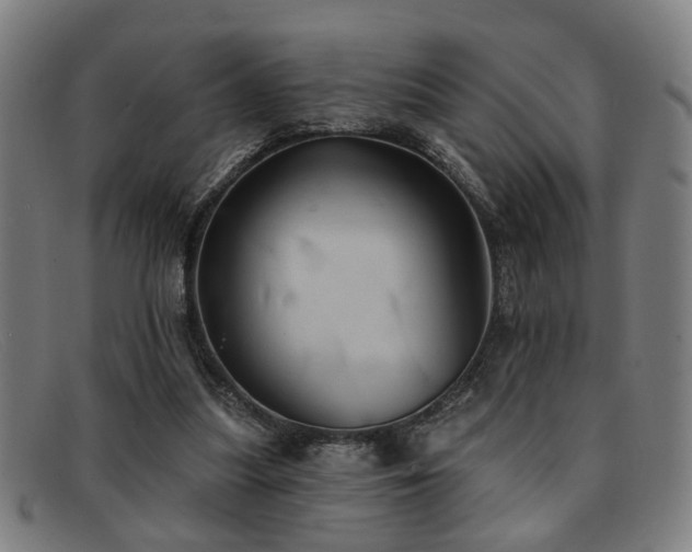 X0000092110251200709121623