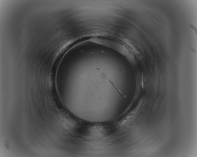 X0000092110252200709121623