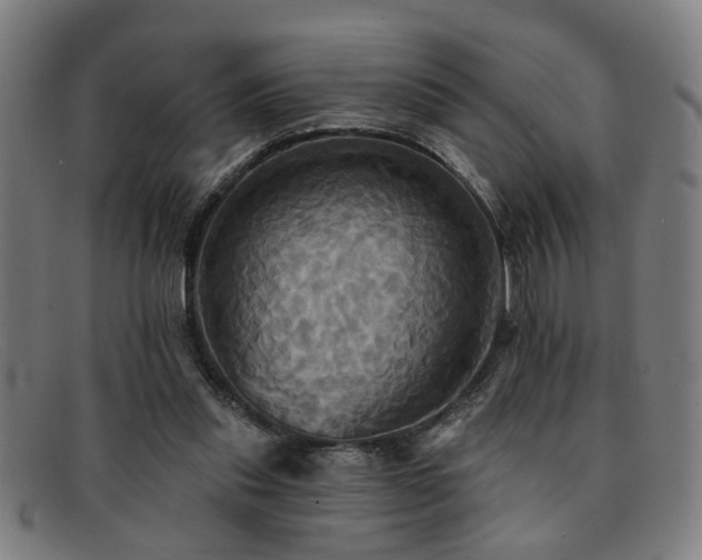 X0000092110253200709121623