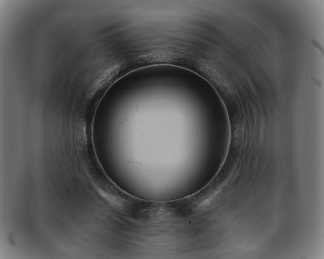 X0000092110254200709121623