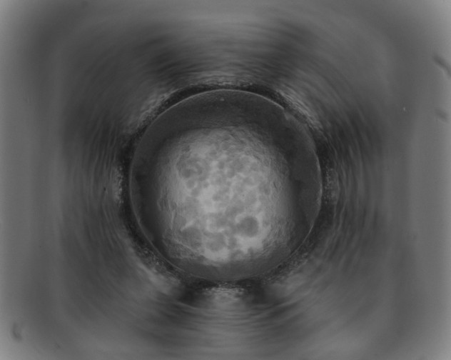 X0000092110255200709121623