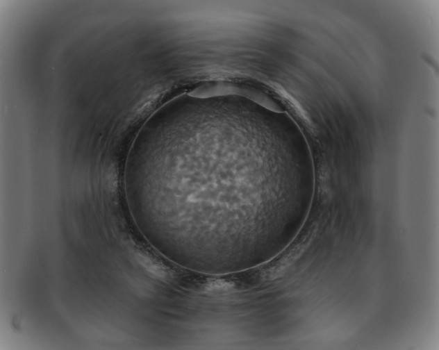 X0000092110257200709121623