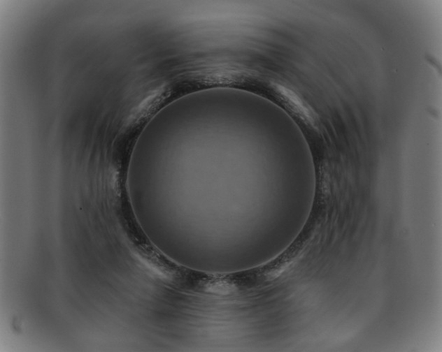 X0000092110258200709121623