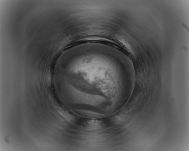 X0000092110261200709121623