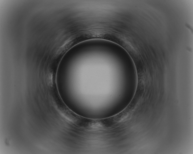 X0000092110262200709121623