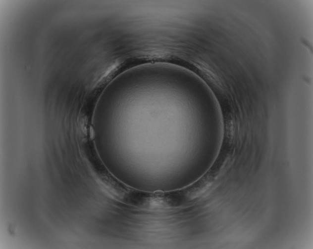 X0000092110264200709121623