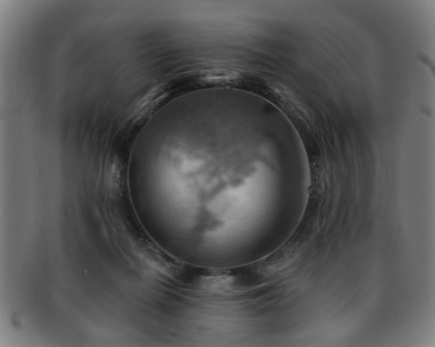 X0000092110266200709121623