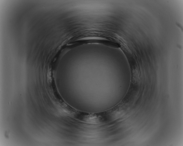 X0000092110267200709121623