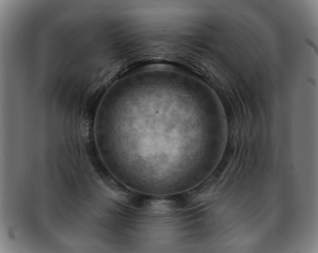 X0000092110268200709121623