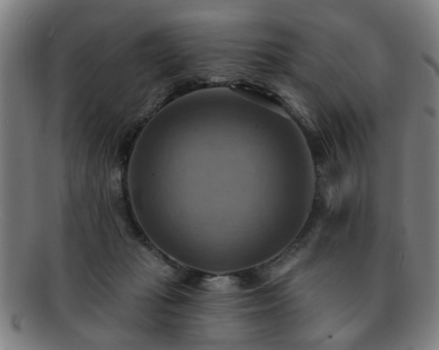 X0000092110269200709121623