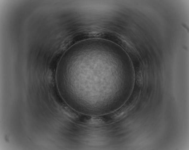 X0000092110270200709121624