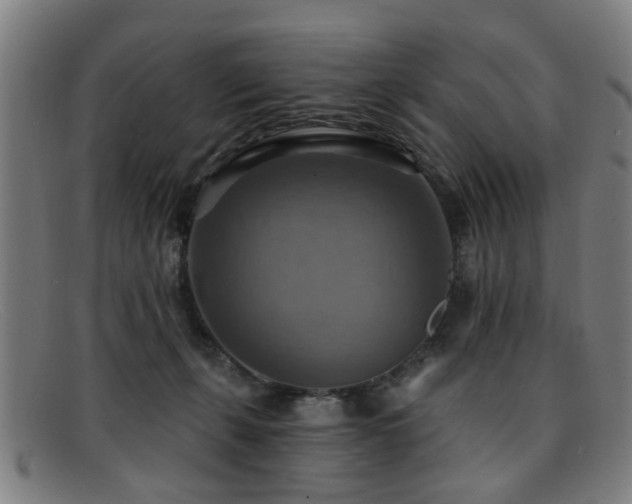 X0000092110271200709121624