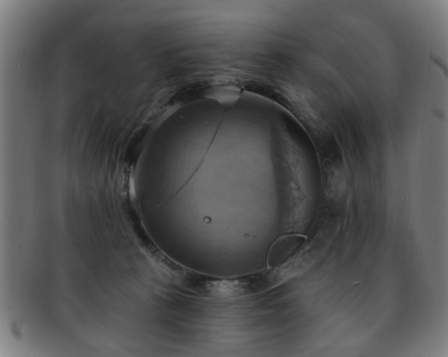 X0000092110273200709121624