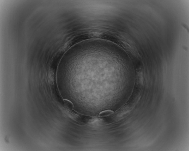 X0000092110274200709121624