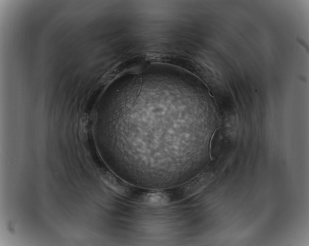 X0000092110275200709121624