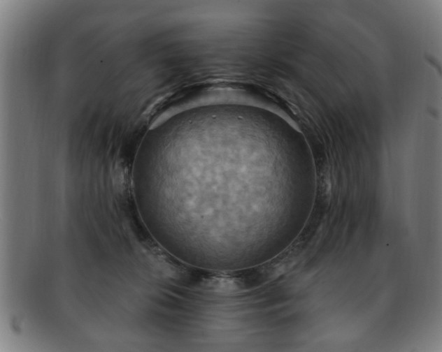 X0000092110276200709121624