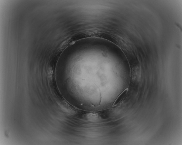 X0000092110279200709121624