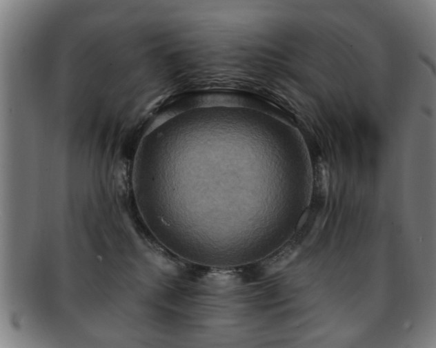 X0000092110280200709121624