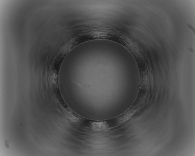 X0000092110281200709121624