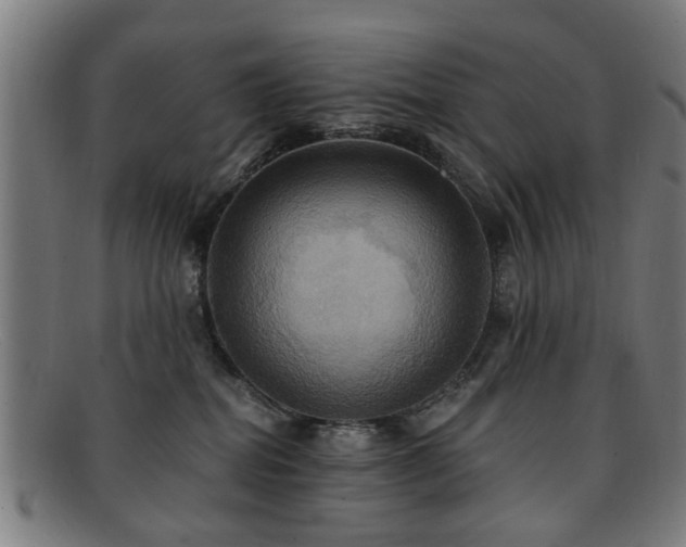 X0000092110282200709121624