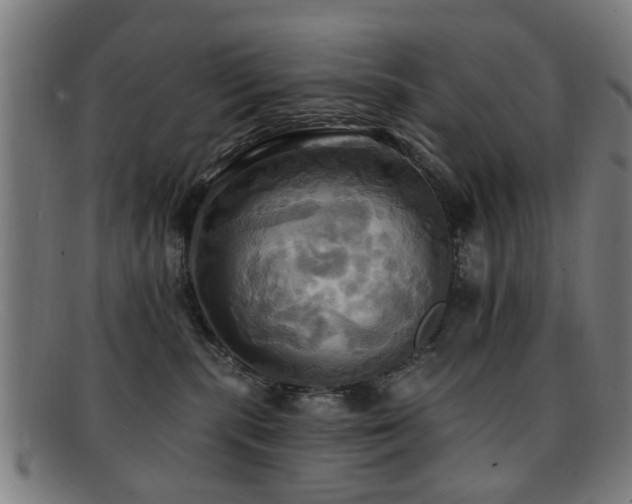 X0000092110283200709121624