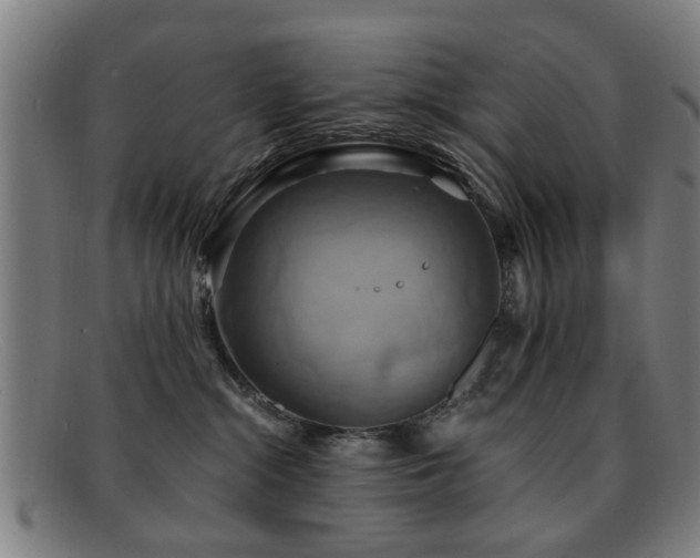 X0000092110284200709121624