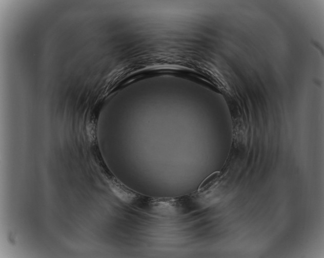 X0000092110285200709121624