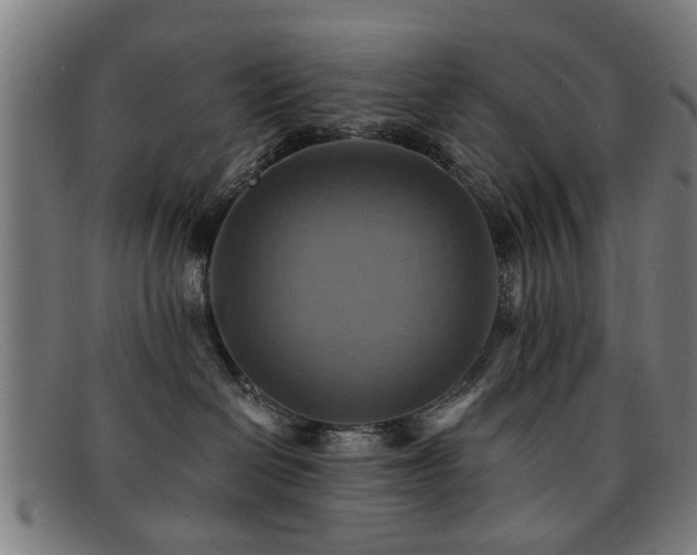 X0000092110286200709121624