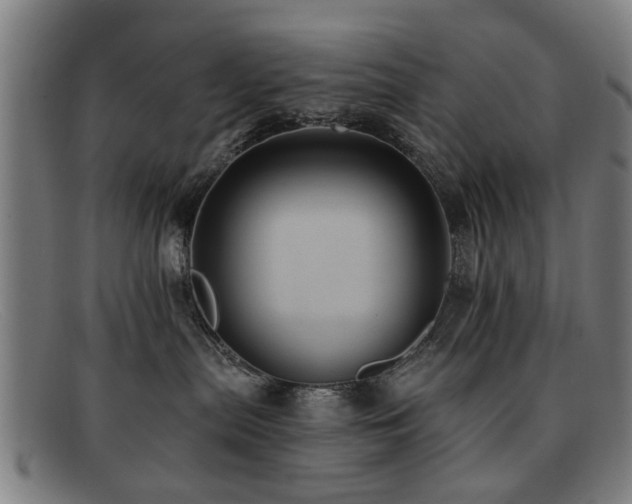 X0000092110287200709121624