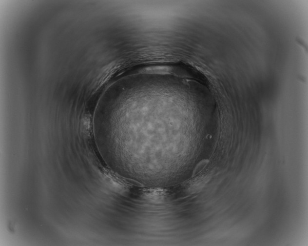 X0000092110288200709121624