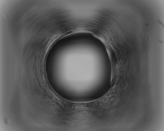 X0000092110289200709121623