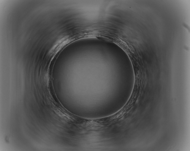 X0000092110290200709121623