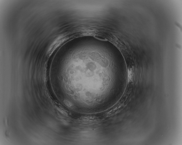 X0000092110291200709121623