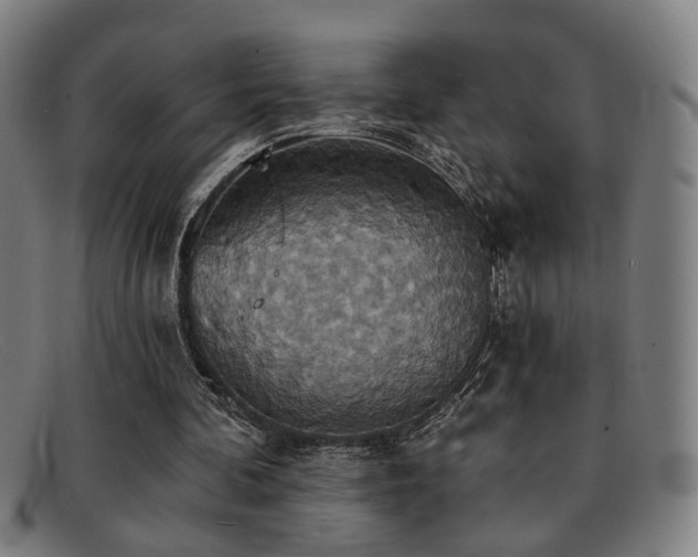 X0000092110292200709121623