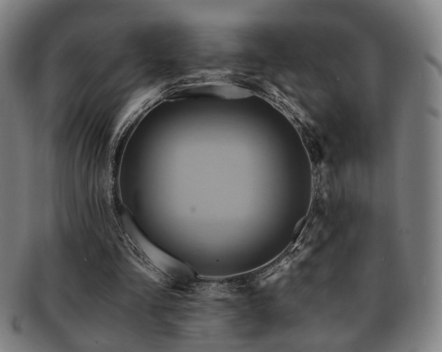 X0000092110293200709121623